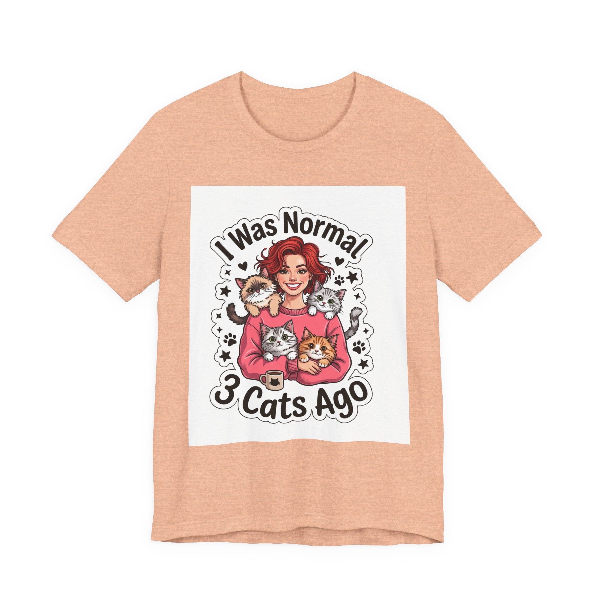 I Was Normal 3 Cats Ago T-Shirt — Funny Cat Lover Tee
